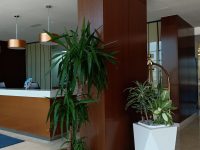 INTERIEUR (3)
